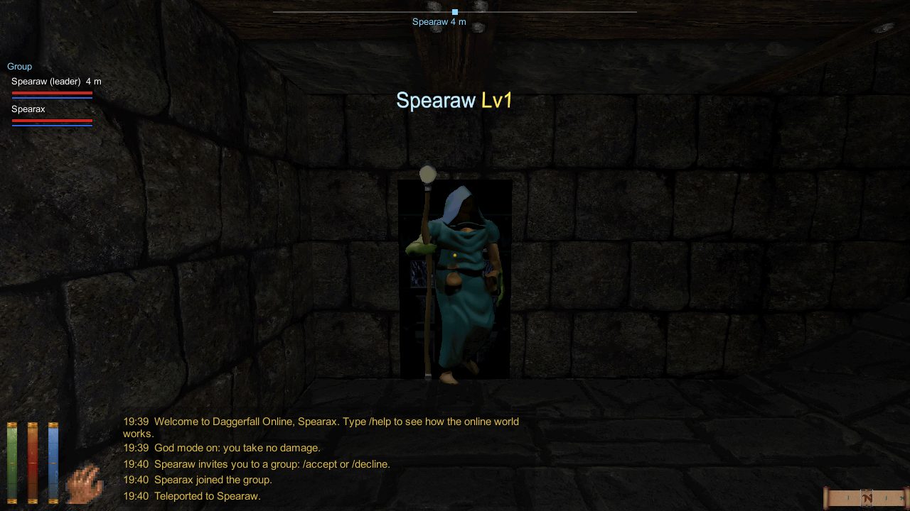 The same dungeon, seen by the other member of the group.